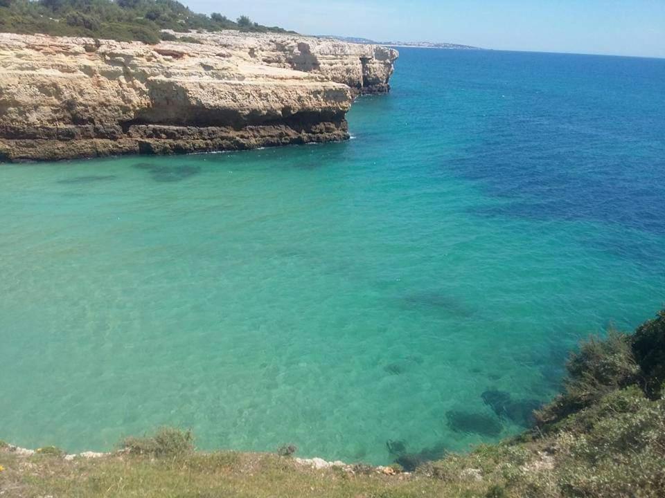 קארבואירו Al Algarve - Alojamento Local Com Excelente Localizacao מראה חיצוני תמונה
