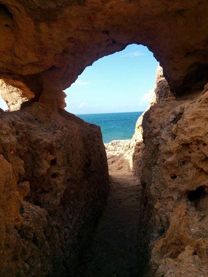 קארבואירו Al Algarve - Alojamento Local Com Excelente Localizacao מראה חיצוני תמונה